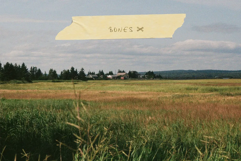 THE NEIGHBORDHOOD WATCH / “Bones”