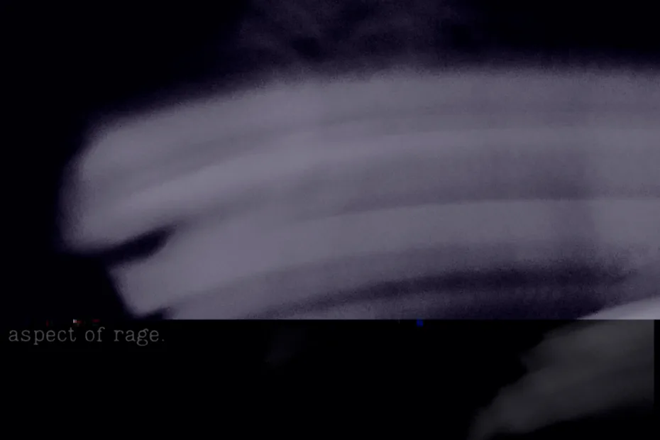 VANTABLACK / ”Aspect of Rage”
