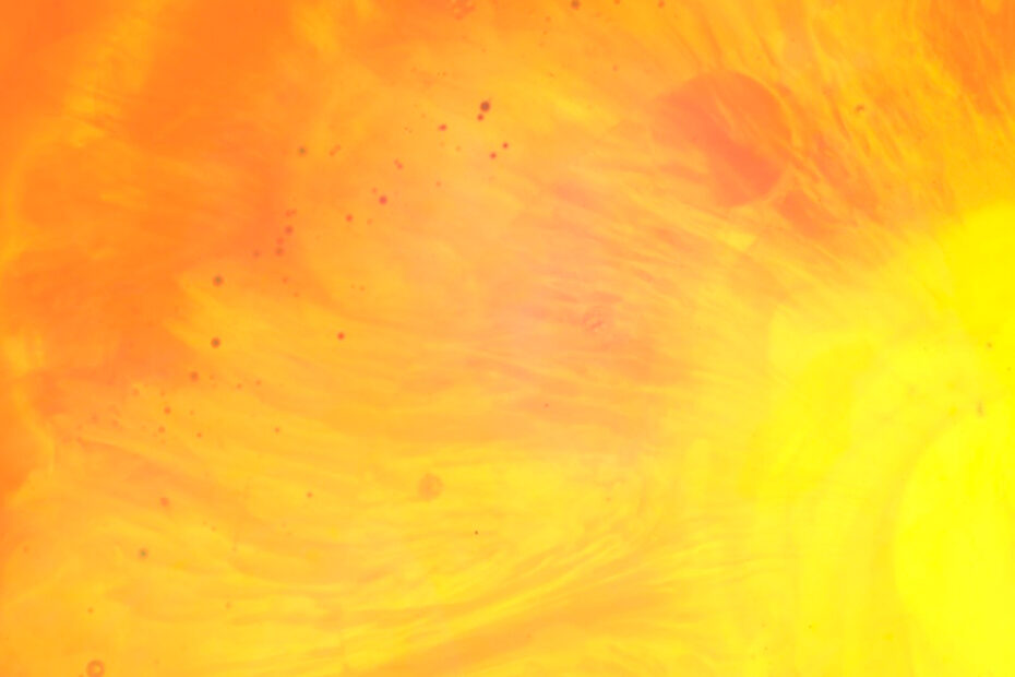 BLACK MOON HOWL / “Iodine Yellow”