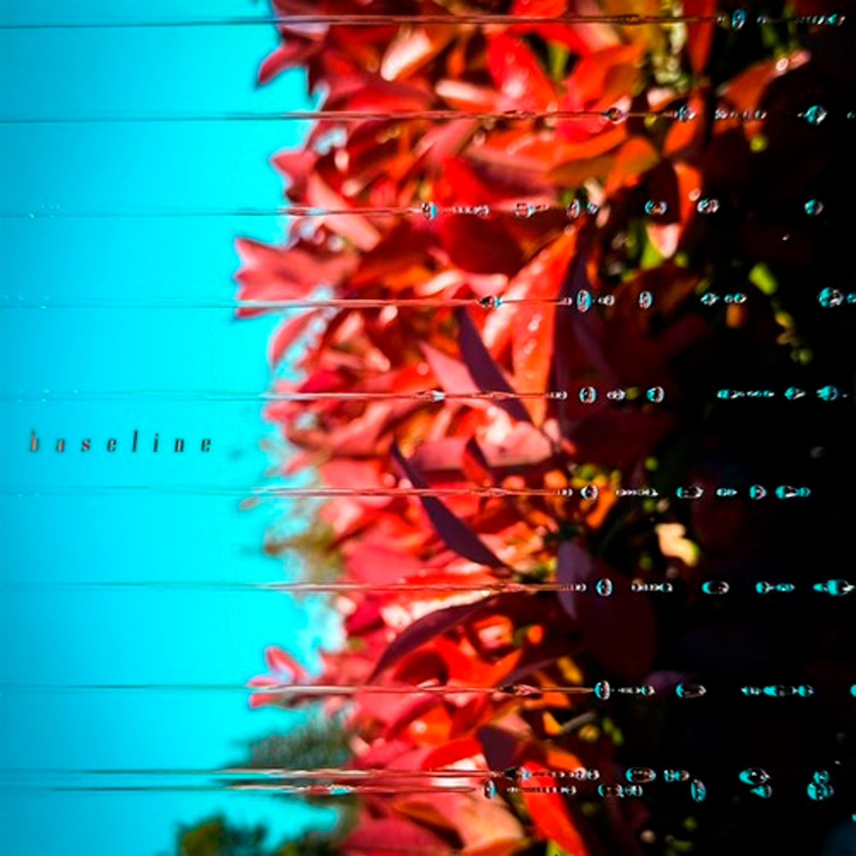 VICTOR SAN PEDRO / “Baseline”