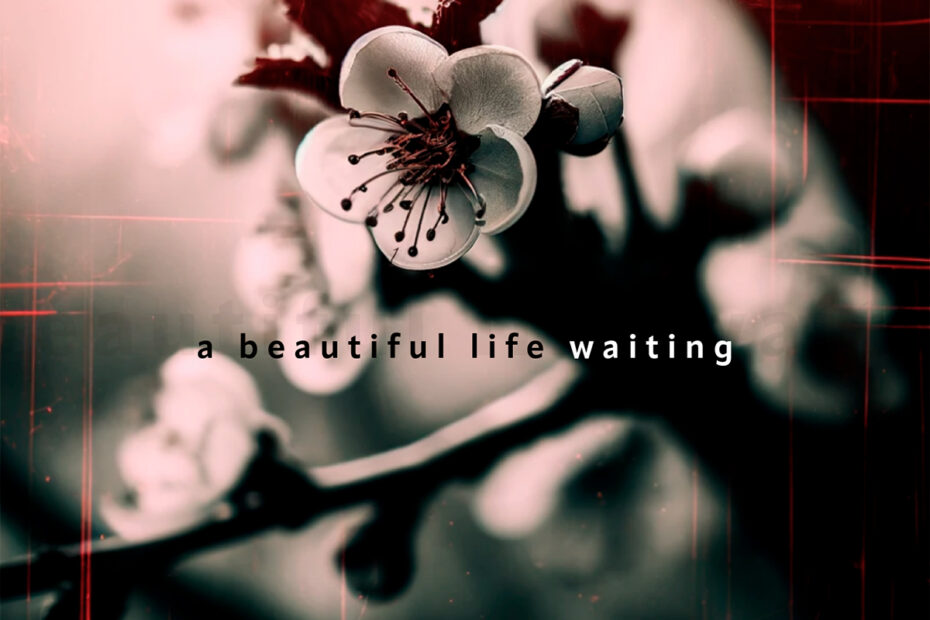 KELLY MURPHY MUSIC / “A Beautiful Life Waiting”