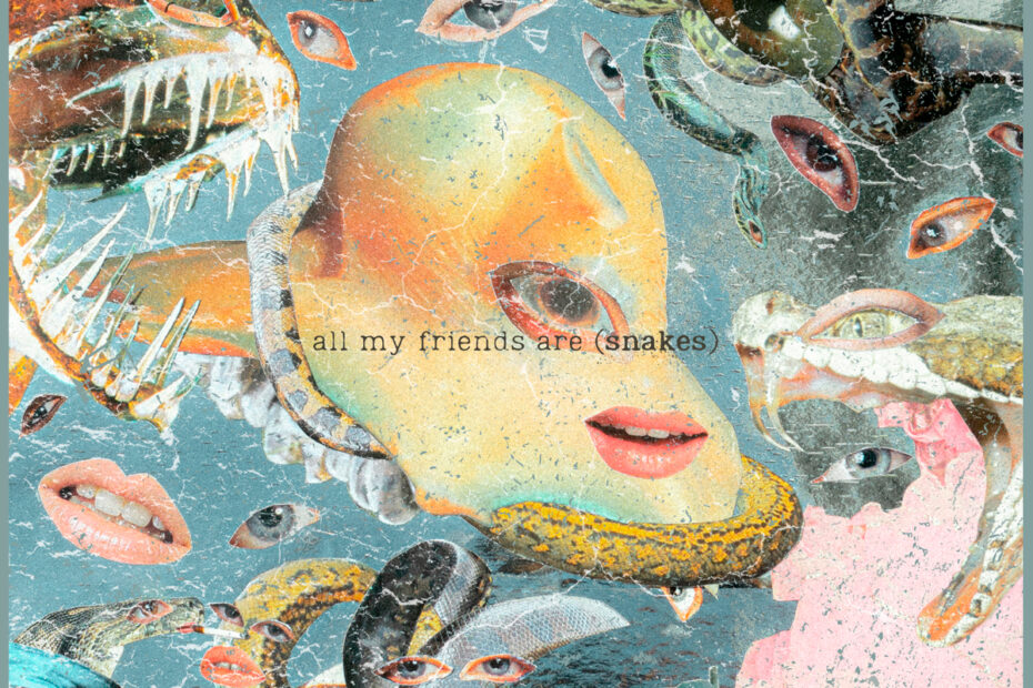 MATCHING DRAPES / “All My Friends Are (Snakes)”