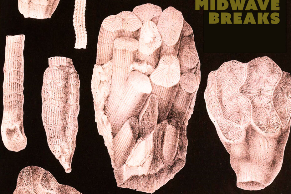 MIDWAVE BREAKS / “Stading Inside Out”
