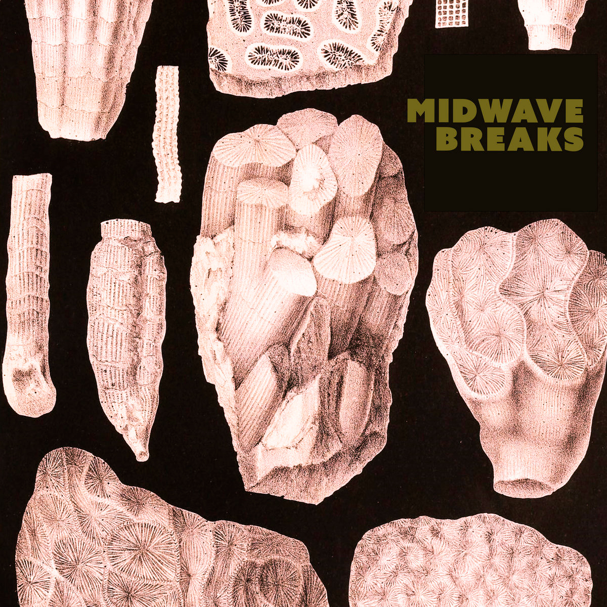 MIDWAVE BREAKS / “Stading Inside Out”
