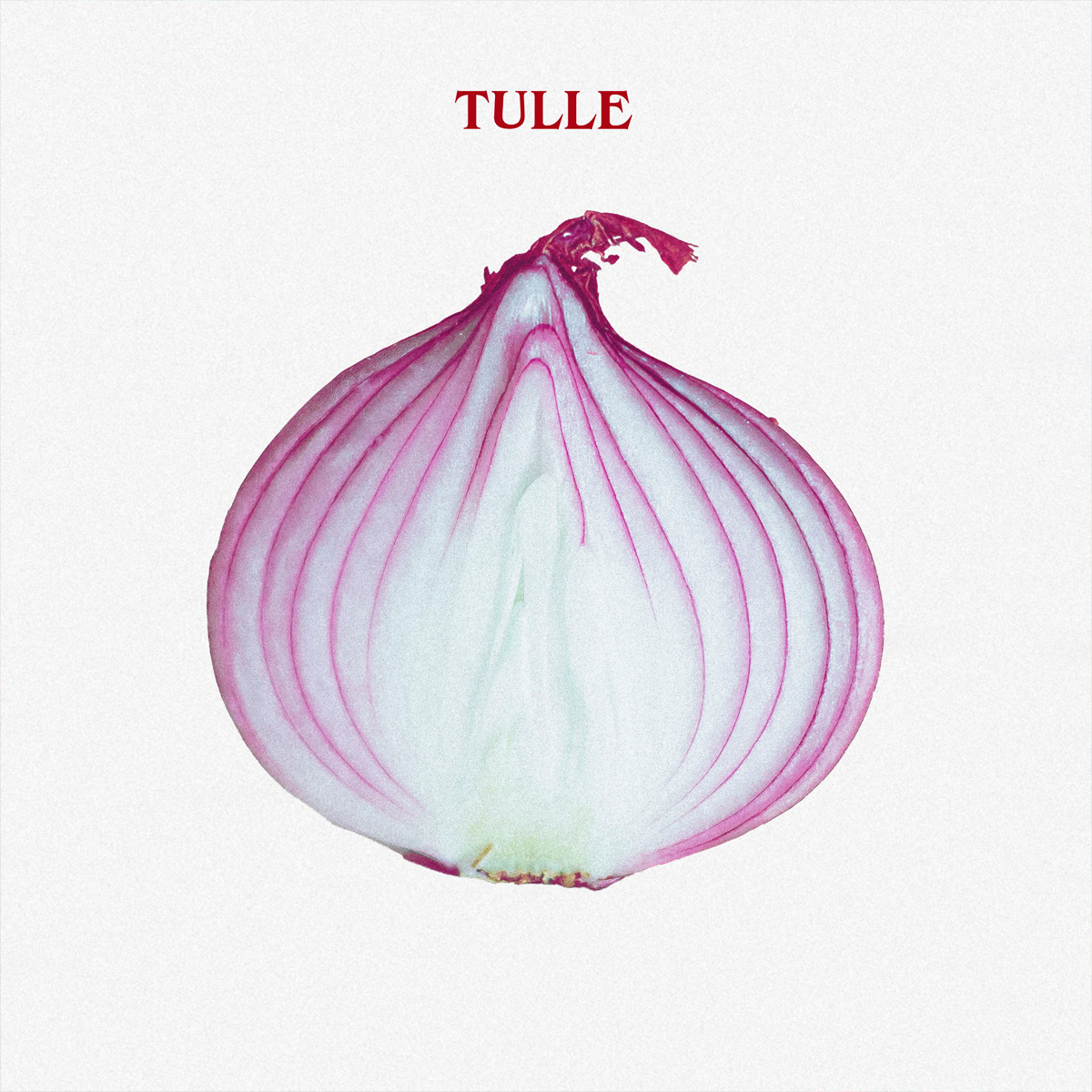 TULLE / “You’re Scarong Me!”