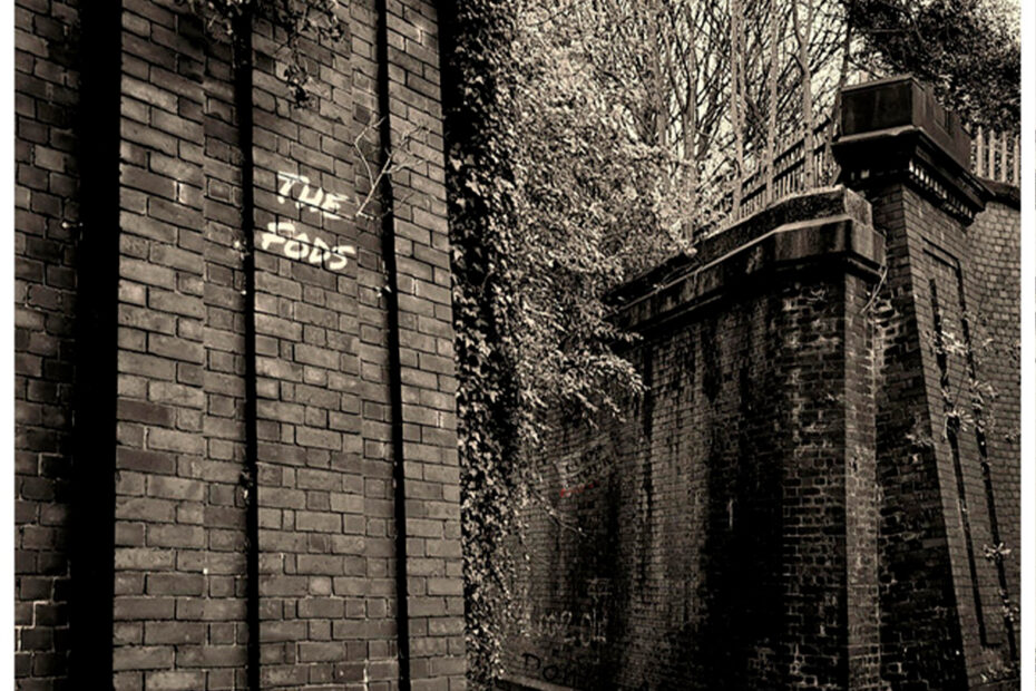 THE FODS / "My Fine Derangement"