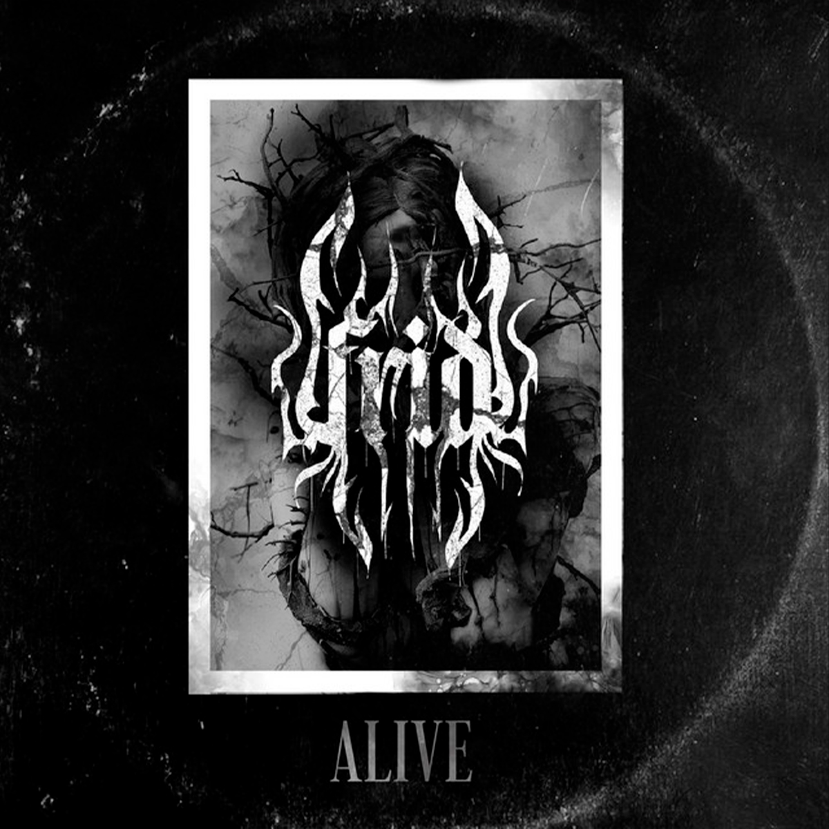 FRID - alive