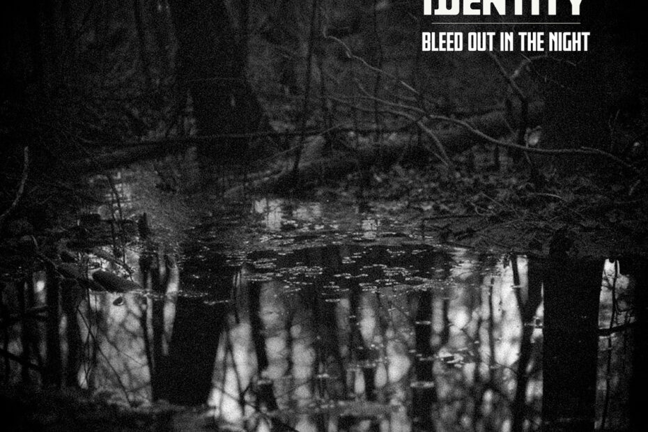 ARK IDENTITY / “Bleed Out In The Night”