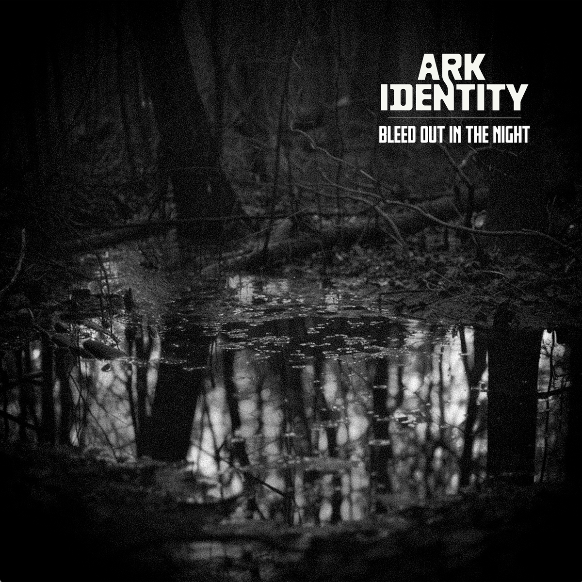 ARK IDENTITY / “Bleed Out In The Night”
