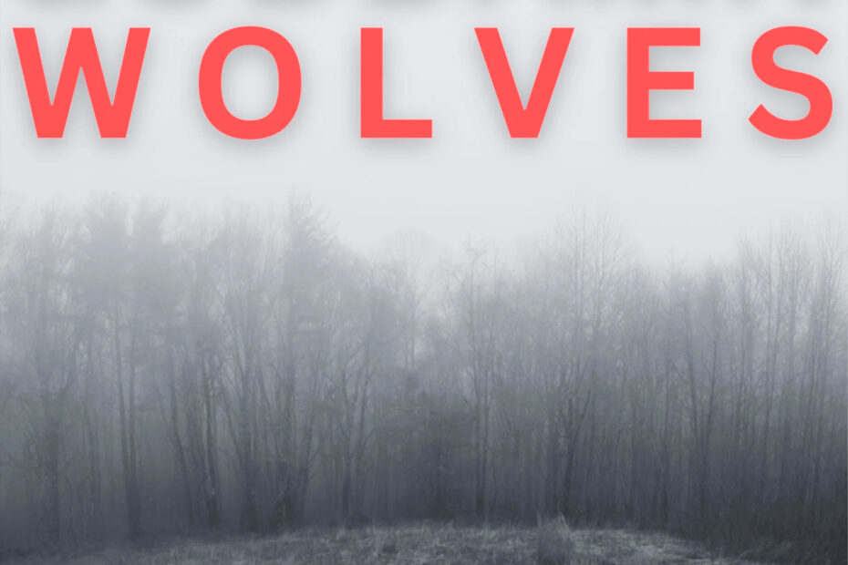 GODDAMN WOLVES / “Barricades Are Overrun”