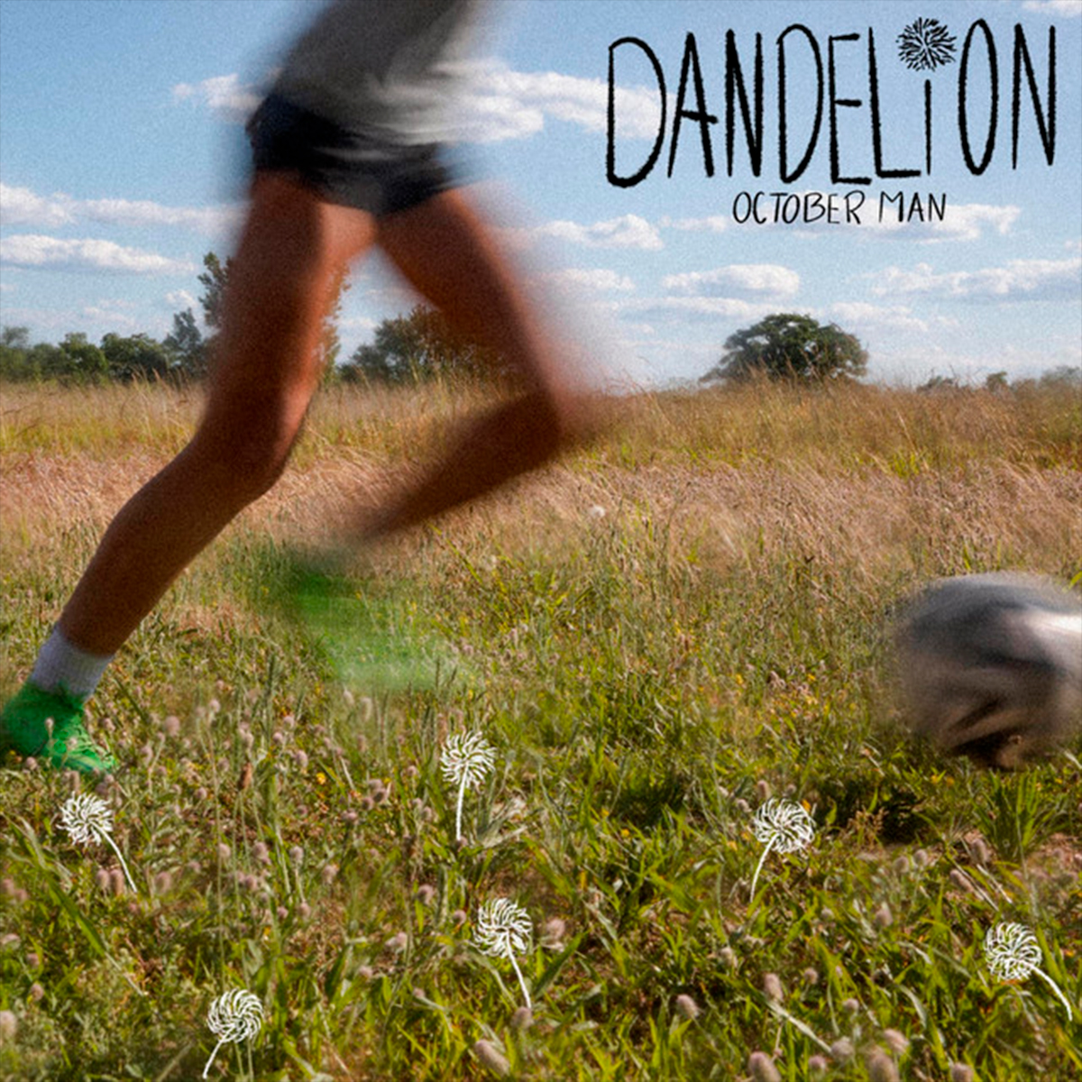 OCTOBER MAN / “Dandelion”