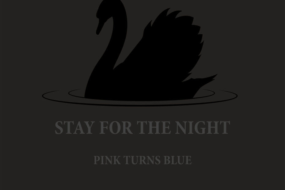 PINK TURNS BLUE / “Stay for the Night”