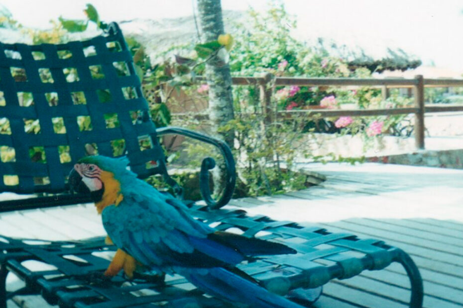SAMUEL ACOSTA - ISLA MARGARITA