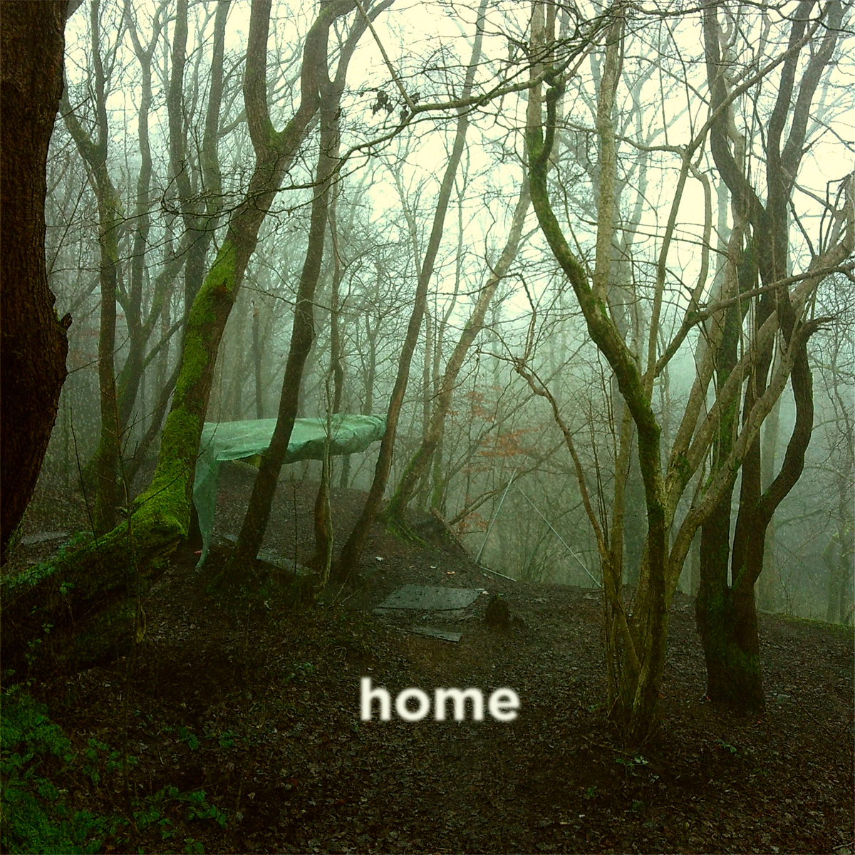 M60 - HOME