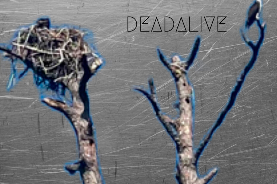 A DAYS WAIT / “deadAlive”
