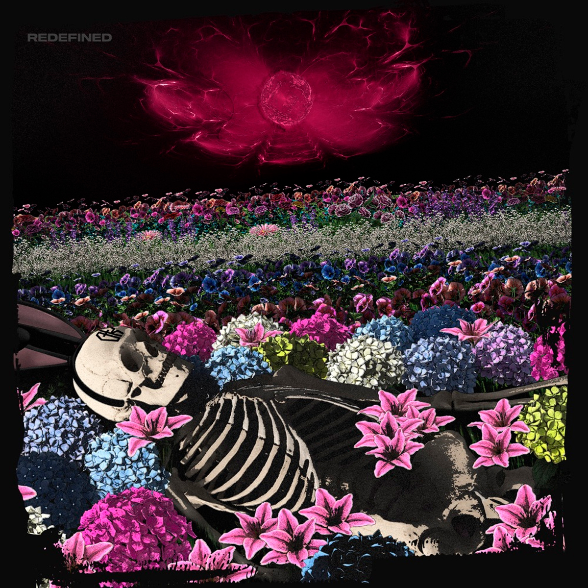 DEAD RABBITTS / “T/R/A/P/P/E/D”