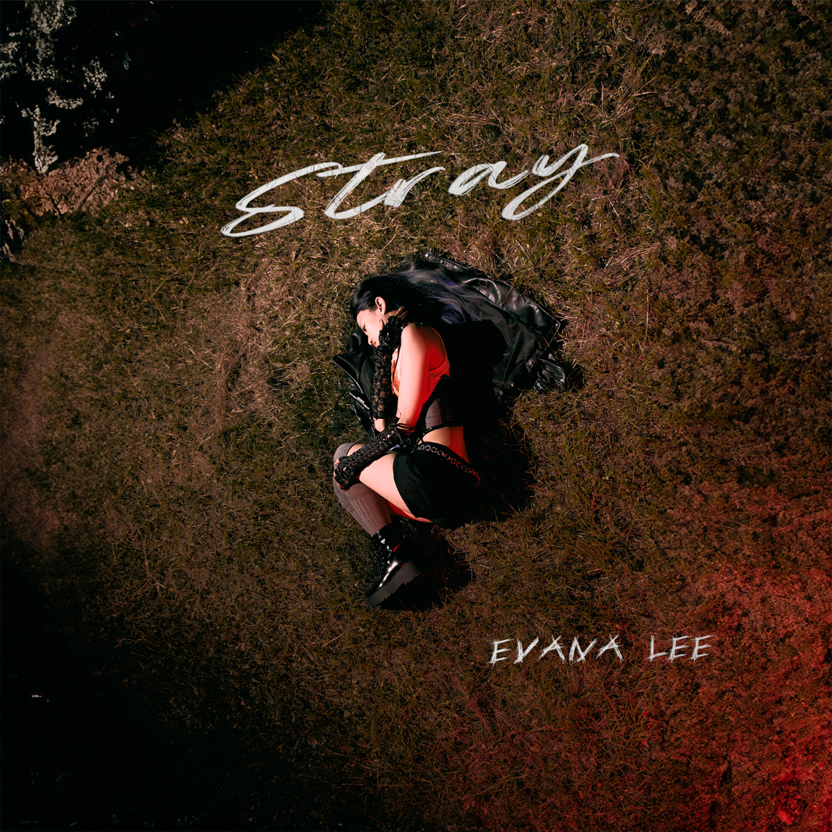 EVANA LEE - STRAY