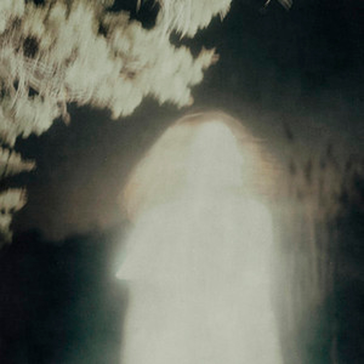 ANNIE ELISE / “let go”