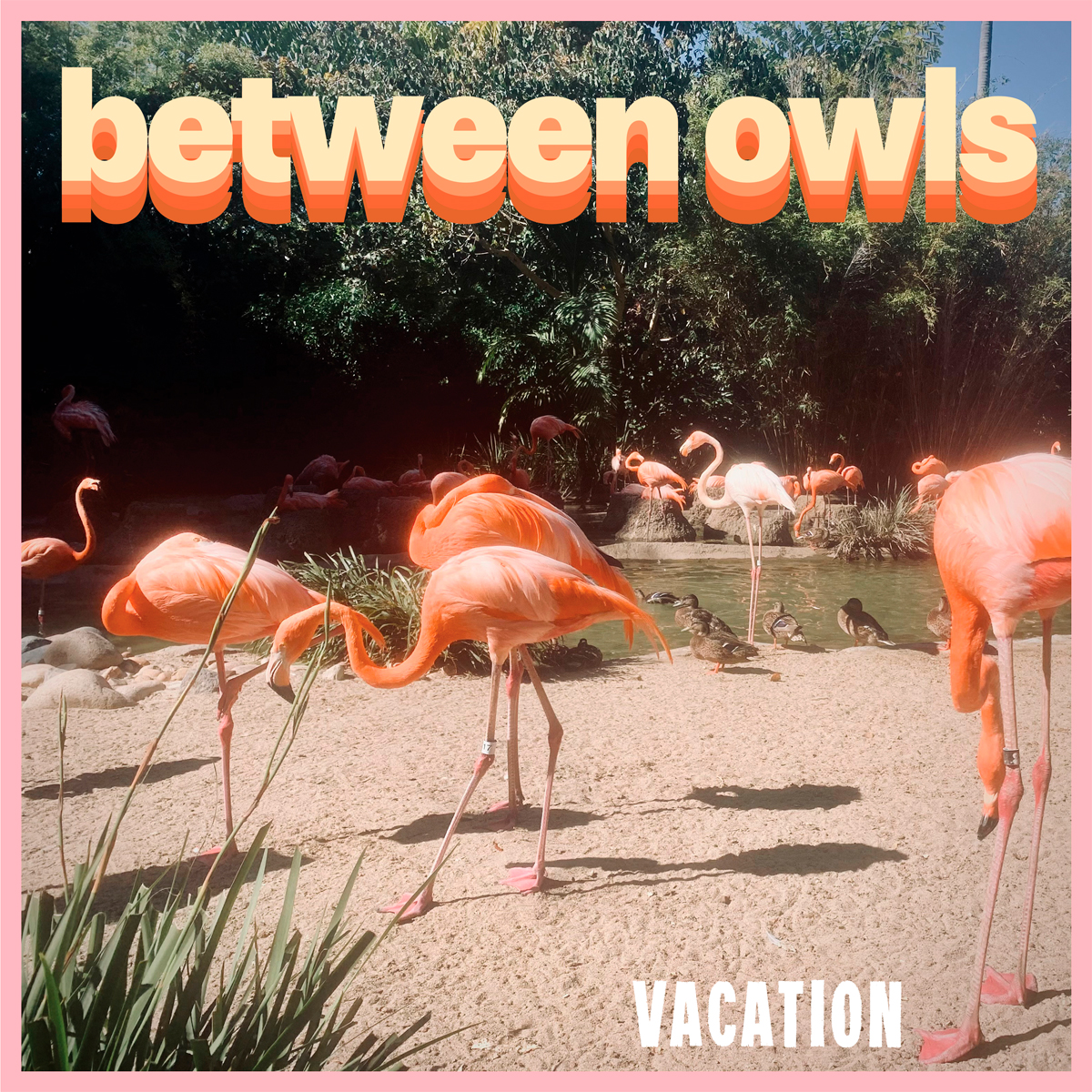 BETWEEN OWLS / “Sweet Memory”