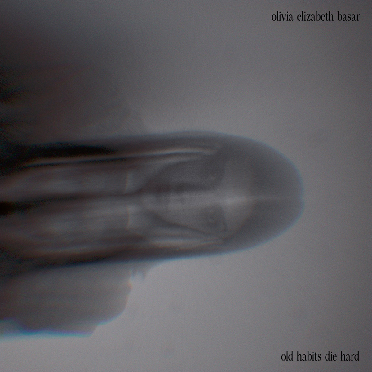 OLIVIA ELIZABETH BASAR / “Old Habits Die Hard”