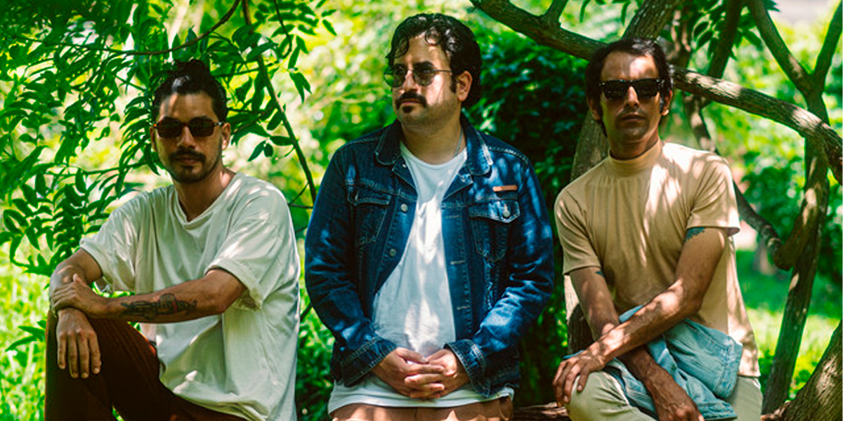 LOS FICUS