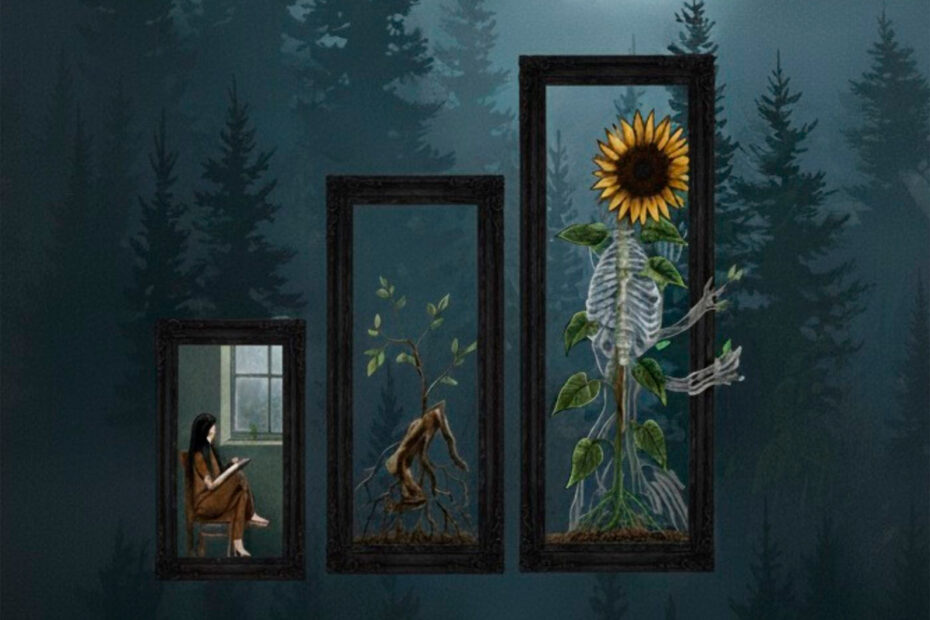 THE WINTER SLOTHS / “The Winter Sloths”