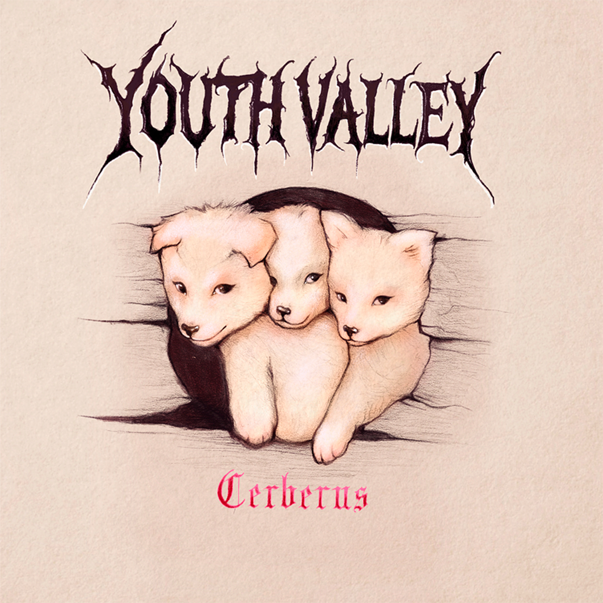 YOUTH VALLEY - CERBERUS
