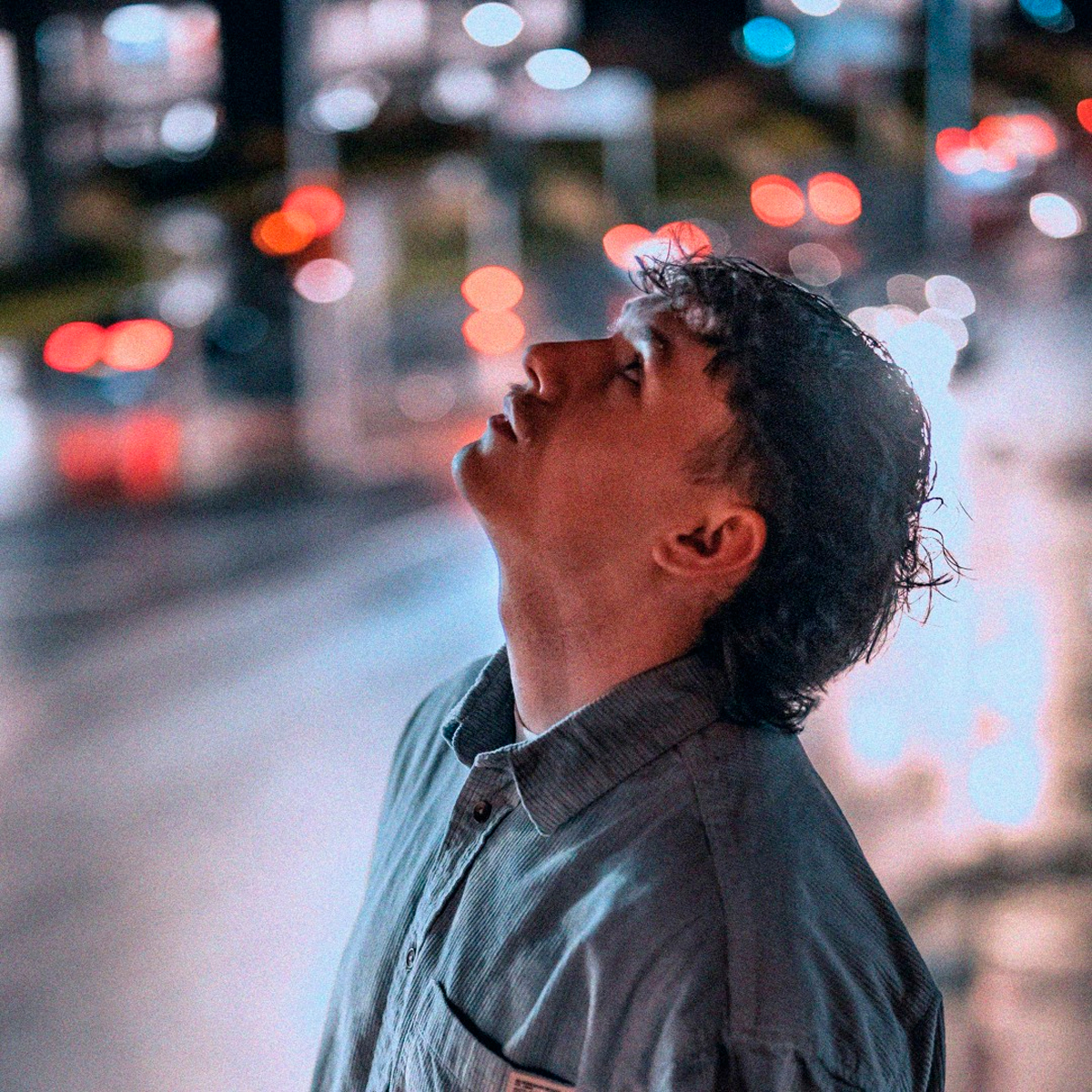 BROOK FOX - rome