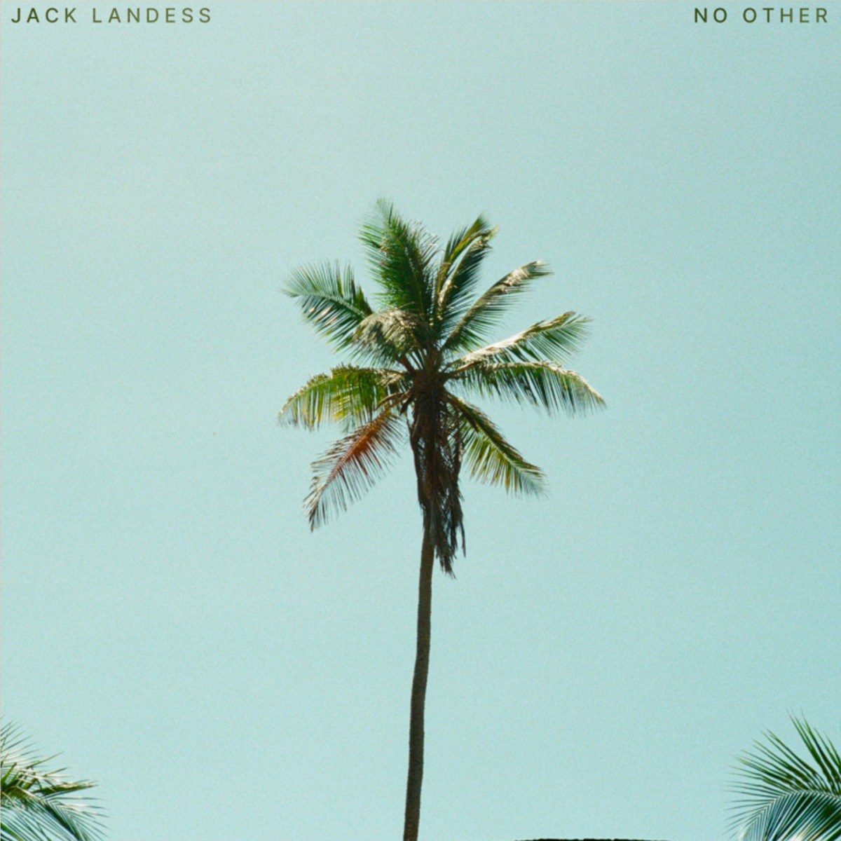 JACK LANDESS - NO OTHER