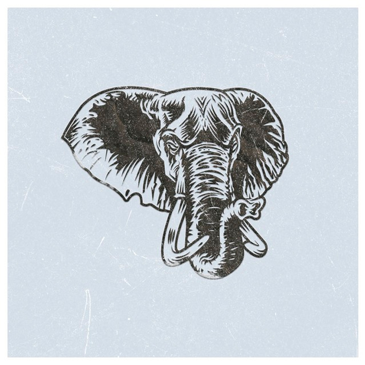 BLEEKER - ELEPHANT